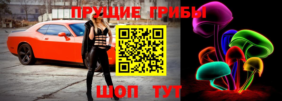 Галлюциногенные грибы Cubensis  Вход с VPN  Краснознаменск 